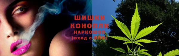 PSILOCYBIN Липки