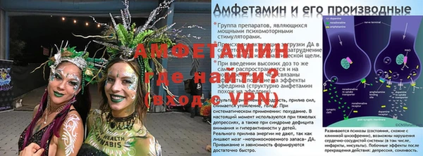 PSILOCYBIN Липки