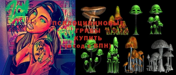 PSILOCYBIN Липки