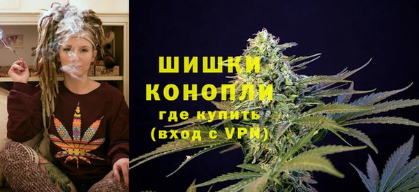 PSILOCYBIN Липки