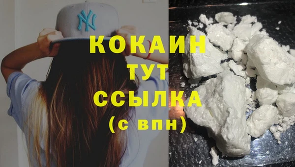 PSILOCYBIN Липки