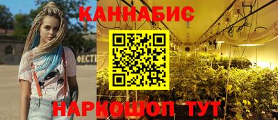 прущие грибы Канаш