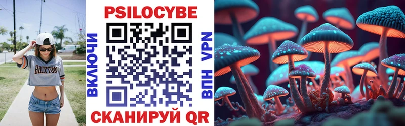 Псилоцибиновые грибы GOLDEN TEACHER  как найти наркотики  Дятьково 