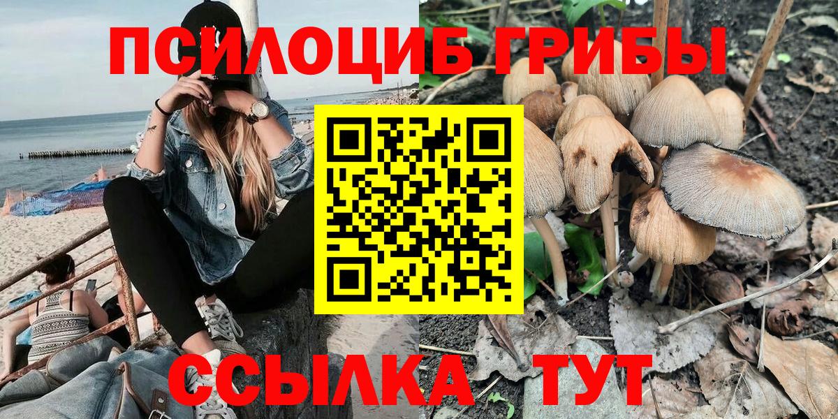 Галлюциногенные грибы мицелий  где продают   Дятьково  Вход с VPN  Псилоцибиновые грибы MAGIC MUSHROOMS 