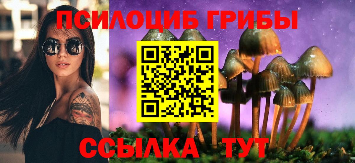 Псилоцибиновые грибы GOLDEN TEACHER Дятьково