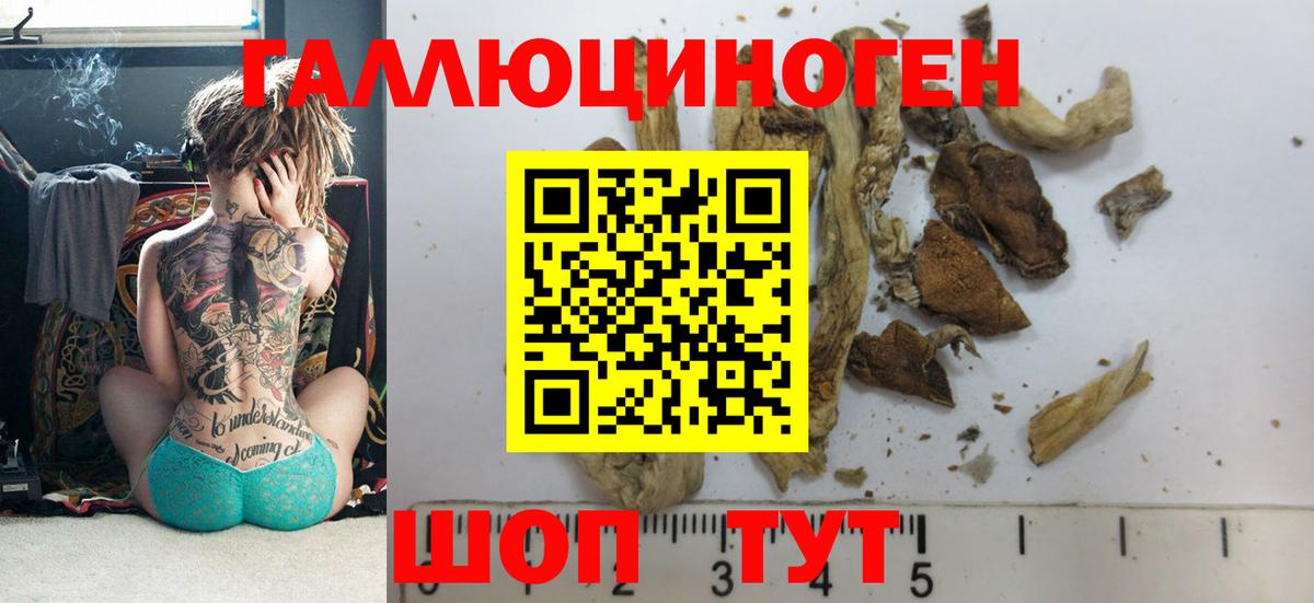 Галлюциногенные грибы GOLDEN TEACHER  Дятьково  Псилоцибиновые грибы Psilocybine cubensis 